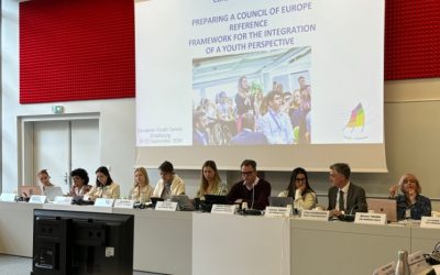 Representative of Connect took part in conslutative meeting on inclusion of youth perspectives in Council of Europe’ work